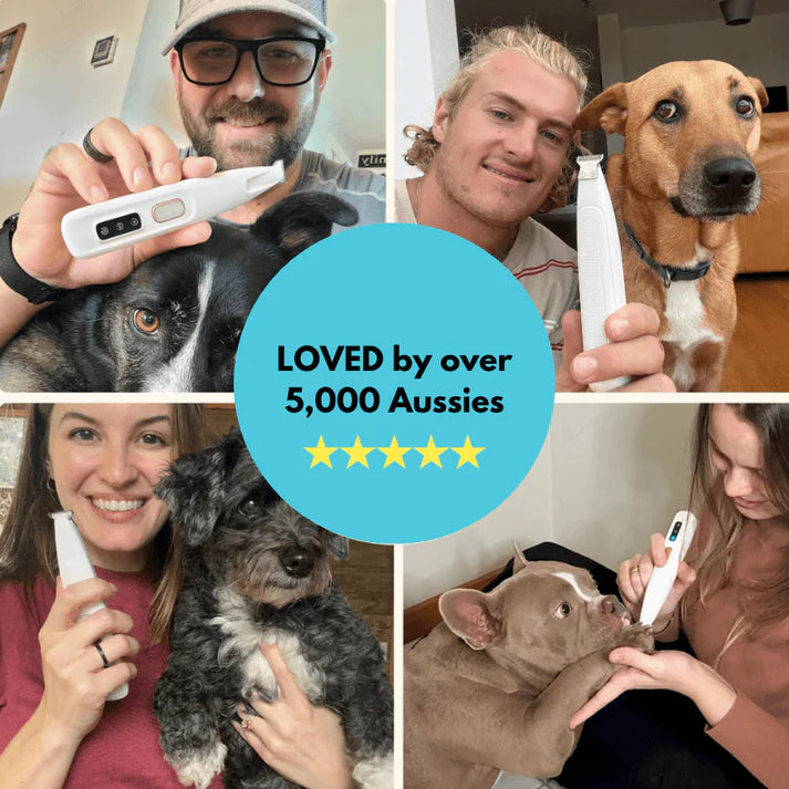 Perfect Paw Trimmer